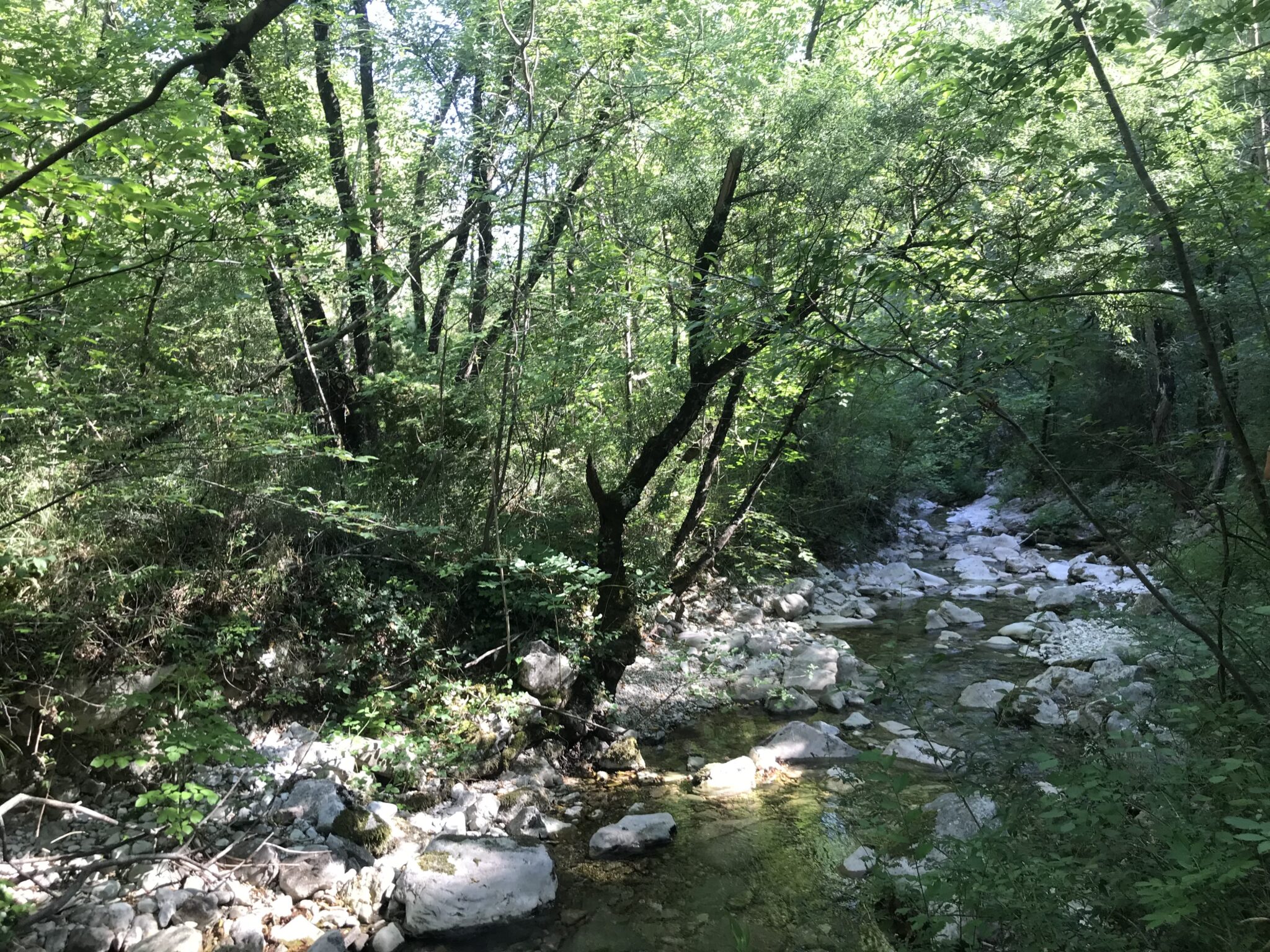 Il Cascatone Di Pianello Di Cagli