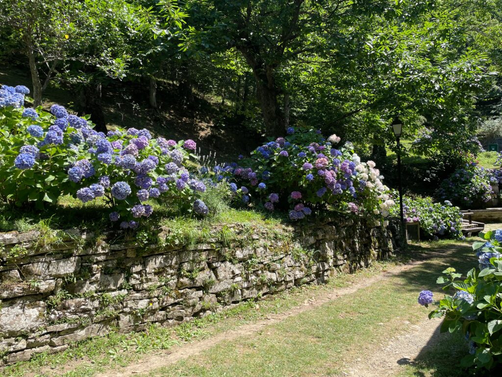 Viale di ingresso fiorito