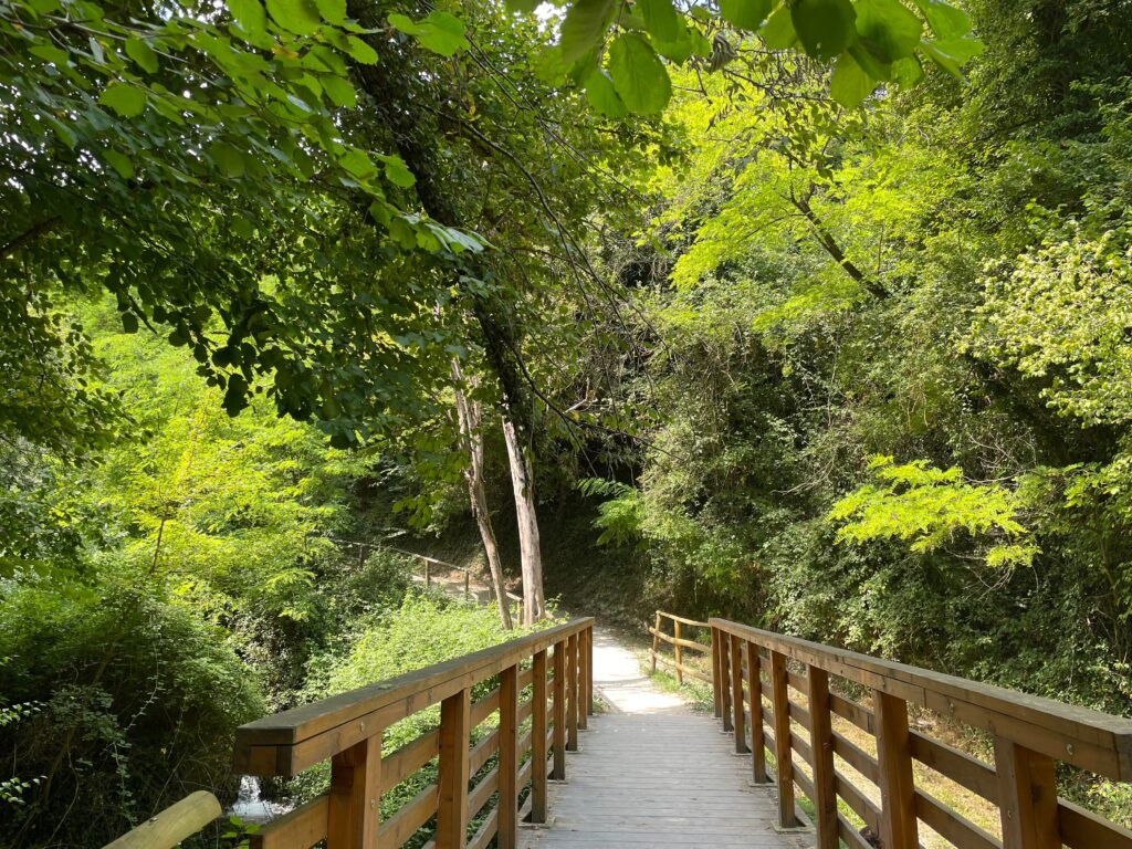 Passerelle sul sentiero delle acque