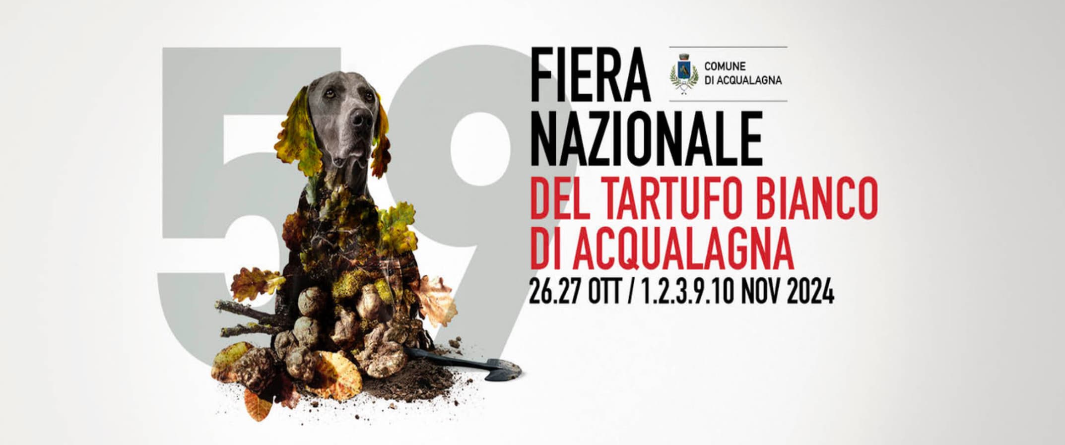 Fiera del tartufo bianco di Acqualagna