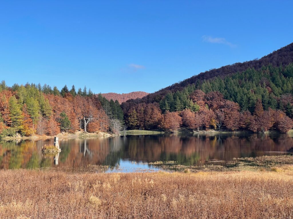 Foliage al lago Calamone