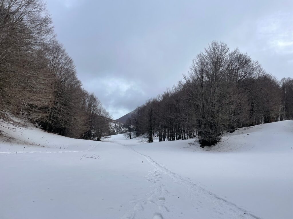 Parco Nazionale del Pollino innevato
