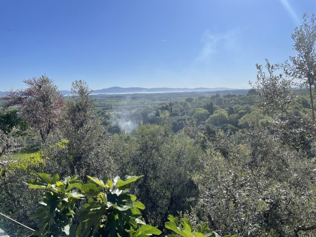 Veduta da Scrofiano