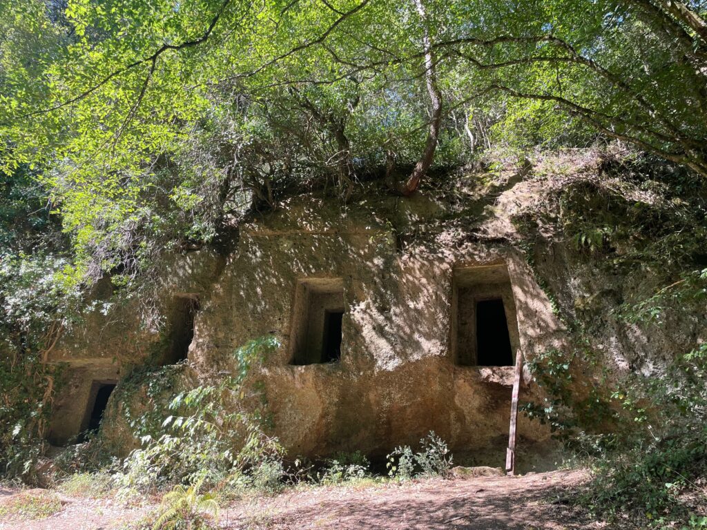Necropoli etrusche Cammino dei Tre Villaggi